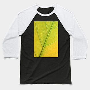 Autumn Leaf Baseball T-Shirt